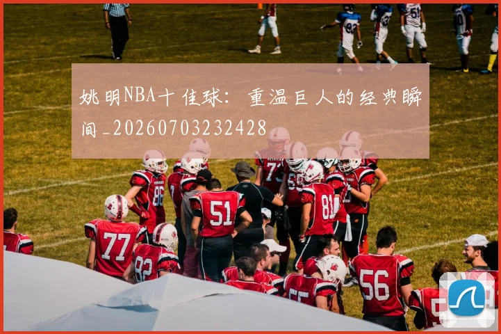 姚明NBA十佳球：重温巨人的经典瞬间_20260703232428