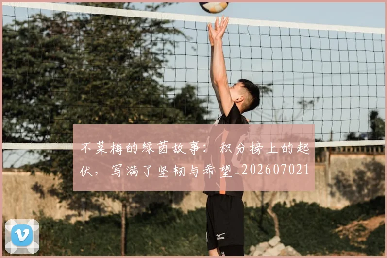 不莱梅的绿茵故事：积分榜上的起伏，写满了坚韧与希望_20260702173618_20260715190122