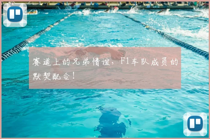 赛道上的兄弟情谊,F1车队成员的默契配合!